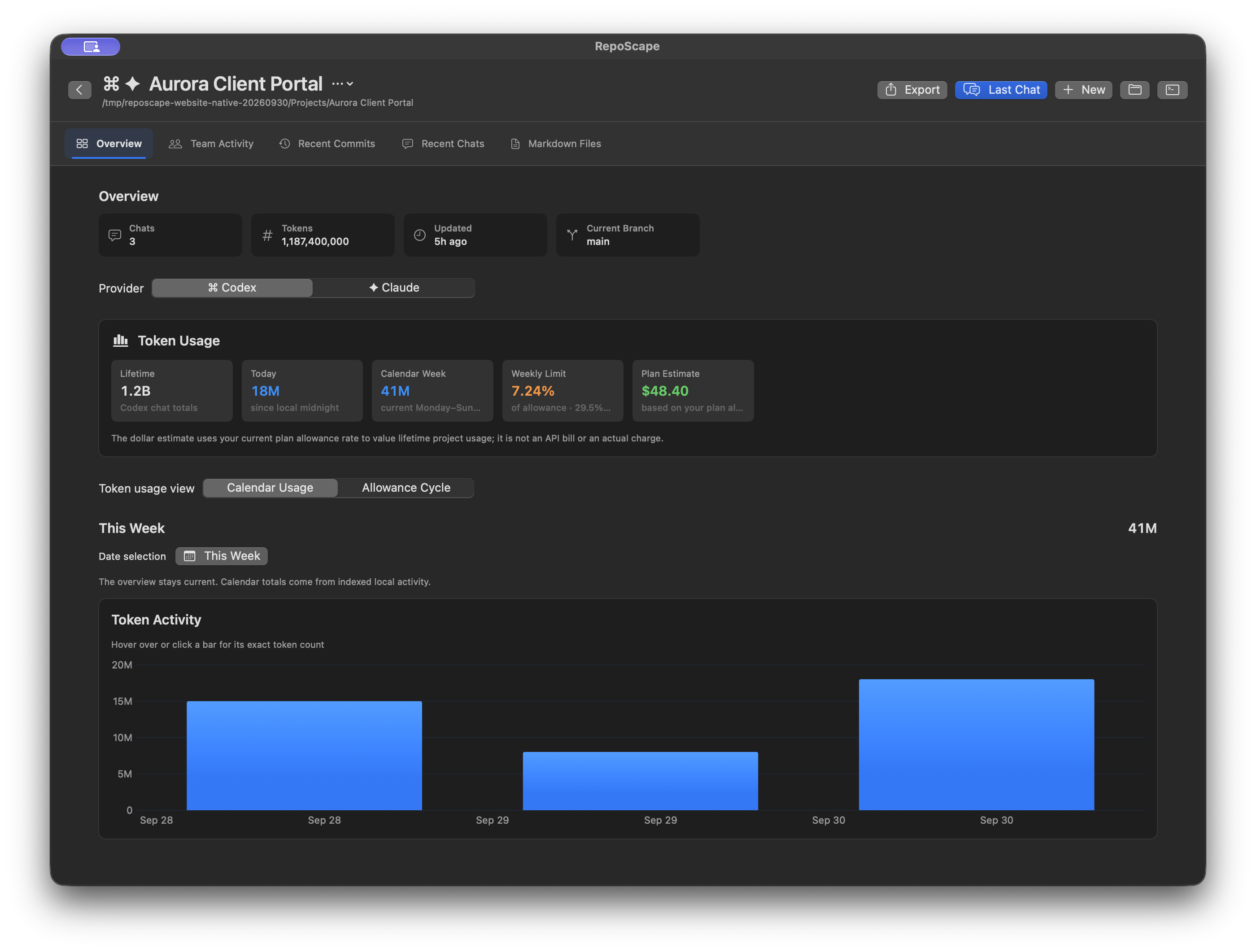 RepoScape usage and allowances with fictional local project data